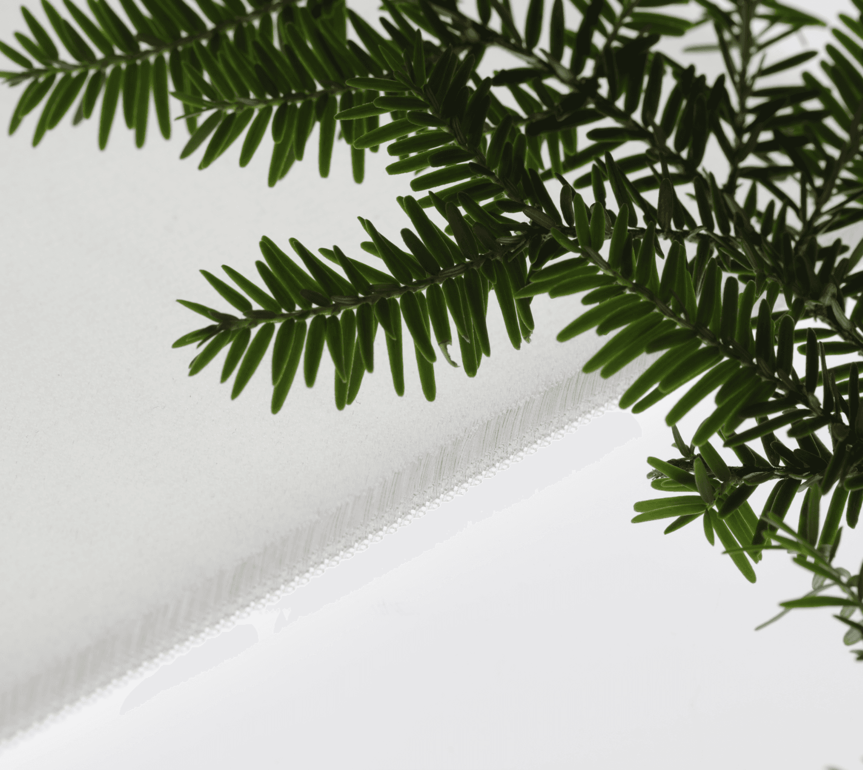 Made in the USA with sustainability in mind
