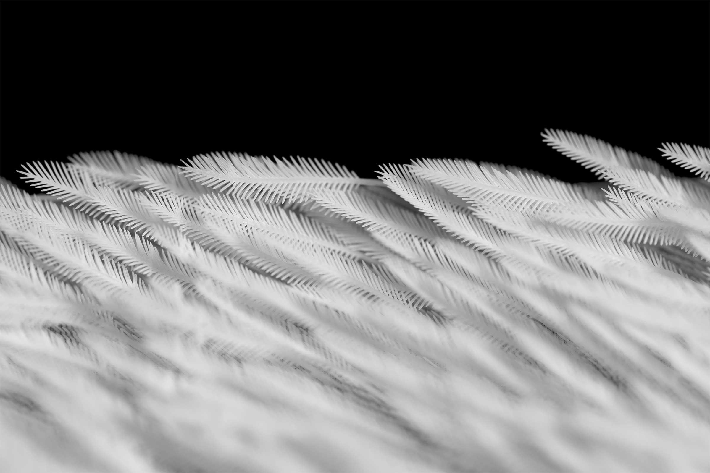 OPT Industries 3D printed feathers being held