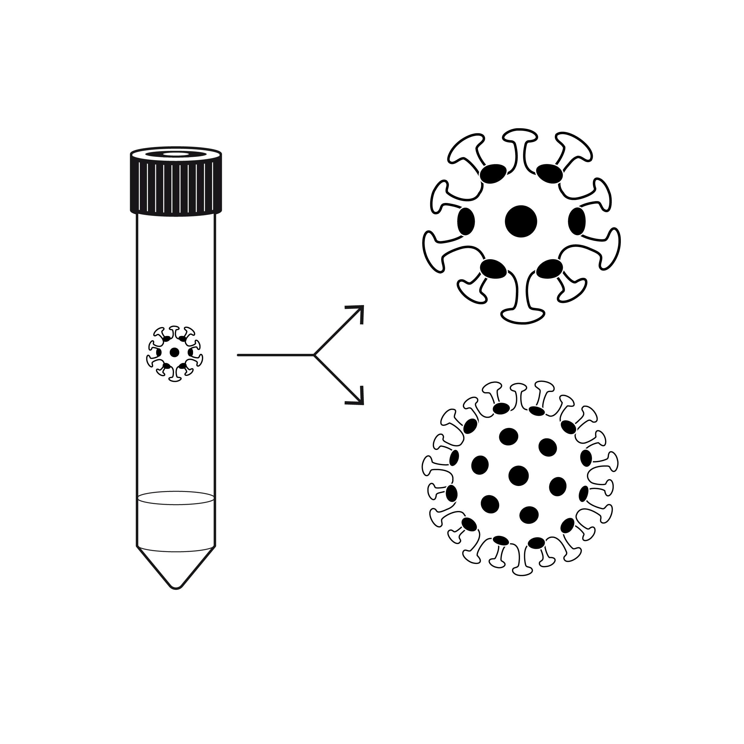 Types of testing