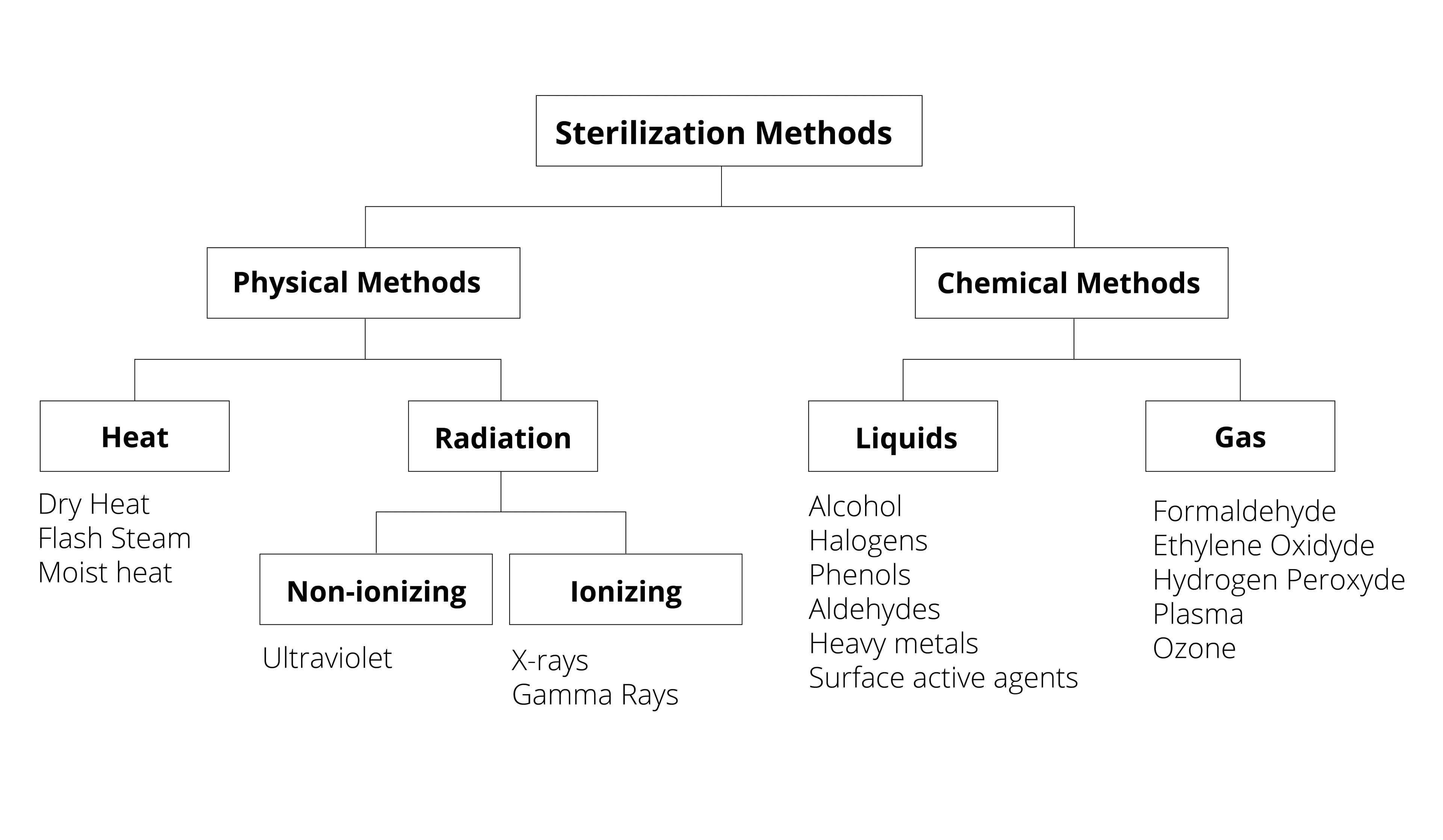 Sterilization methods tree graph