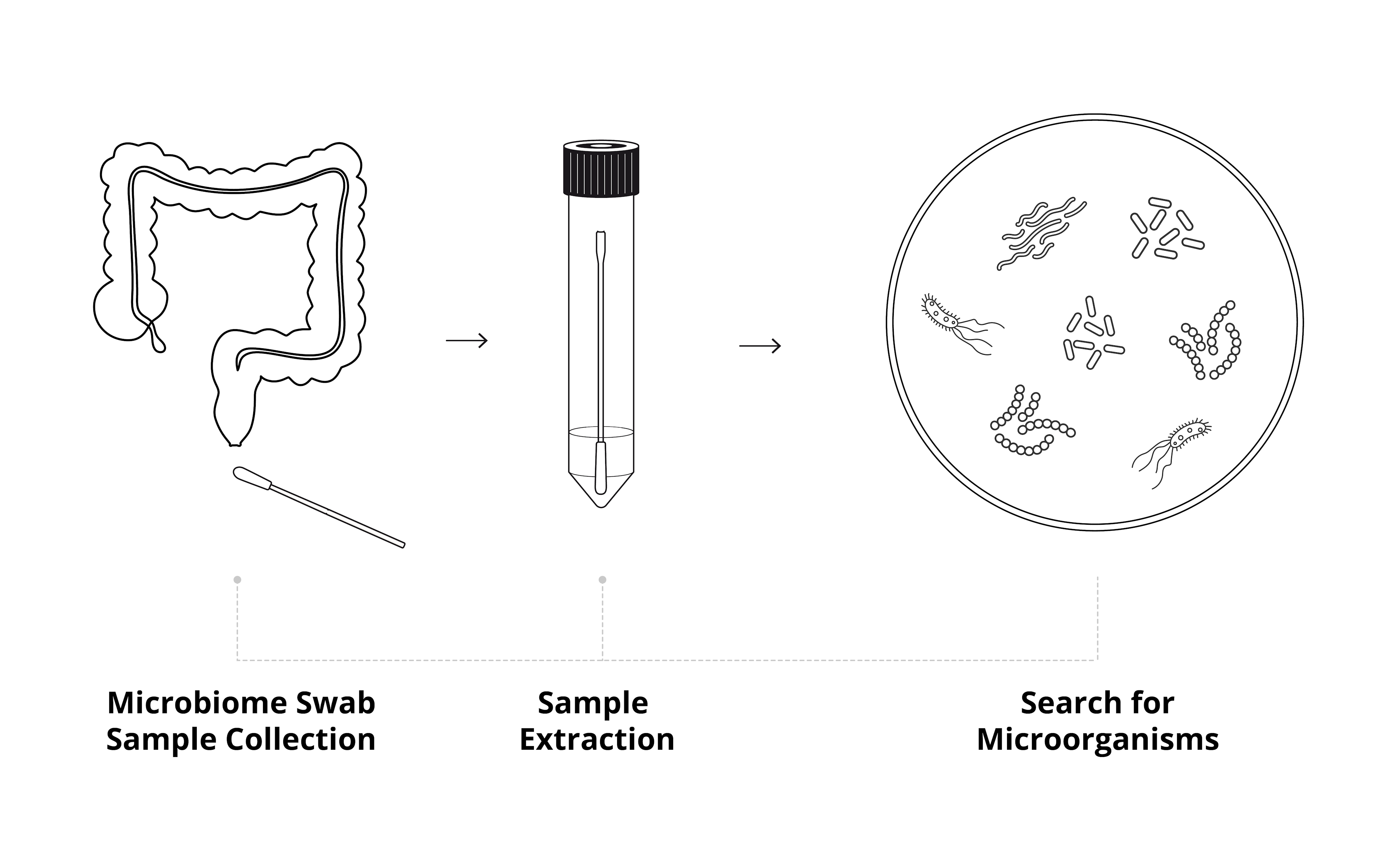 Microbiome Screenings